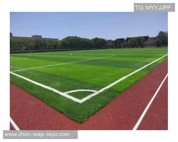山东足球场草坪厂家专业提供高品质草坪解决方案助力足球运动发展