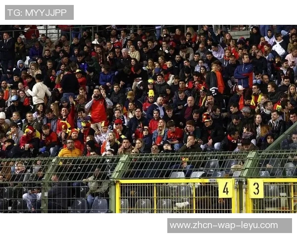 足球暴力冲突视频引发热议球迷安全与体育精神的双重考验